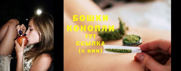бошки Аркадак