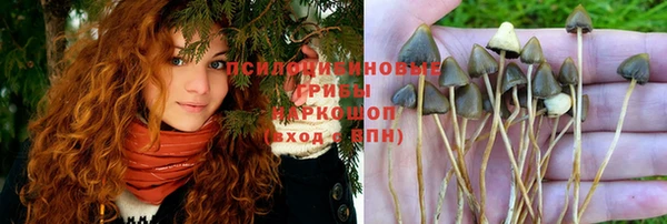apvp Арсеньев