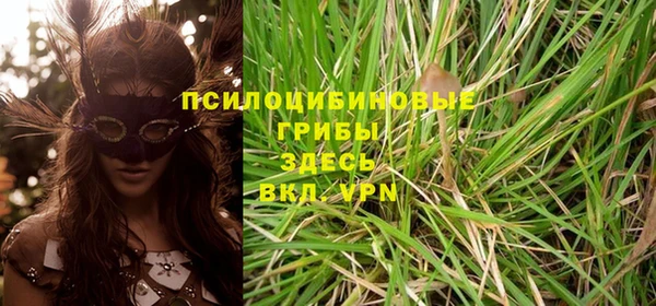 apvp Арсеньев